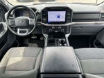 2024 F-150 Thumbnail 13