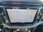 2025 F-150 Thumbnail 6