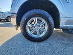 2025 F-150 Thumbnail 12