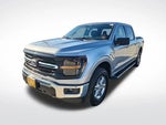 2025 F-150 Thumbnail 16