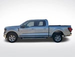 2025 F-150 Thumbnail 17