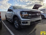 2025 F-150 Thumbnail 3