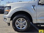2025 F-150 Thumbnail 10