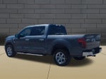 2025 F-150 Thumbnail 6