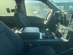 2024 F-150 Thumbnail 5