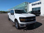 2024 F-150 Thumbnail 1