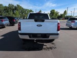 2024 F-150 Thumbnail 6