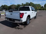 2024 F-150 Thumbnail 7