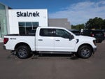 2024 F-150 Thumbnail 8