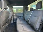 2024 F-150 Thumbnail 14