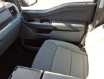 2024 F-150 Thumbnail 14