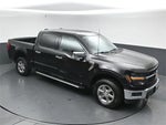 2024 F-150 Thumbnail 45