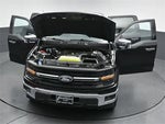 2024 F-150 Thumbnail 58