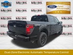 2025 F-150 Thumbnail 8