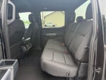 2025 F-150 Thumbnail 19