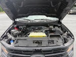2025 F-150 Thumbnail 21