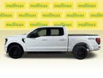 2025 F-150 Thumbnail 12