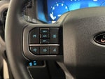 2025 F-150 Thumbnail 21