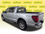 2025 F-150 Thumbnail 11