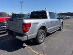 2025 F-150 Thumbnail 3