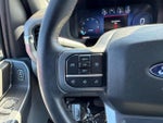 2025 F-150 Thumbnail 12