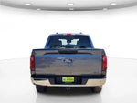 2025 F-150 Thumbnail 8