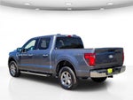 2025 F-150 Thumbnail 9