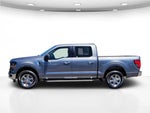 2025 F-150 Thumbnail 10