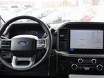 2025 F-150 Thumbnail 17