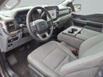 2025 F-150 Thumbnail 19