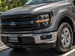 2025 F-150 Thumbnail 6