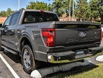 2025 F-150 Thumbnail 8