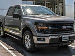 2025 F-150 Thumbnail 12