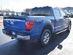 2025 F-150 Thumbnail 13