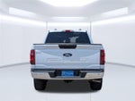 2025 F-150 Thumbnail 5