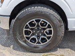 2025 F-150 Thumbnail 11