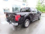 2025 F-150 Thumbnail 5