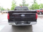 2025 F-150 Thumbnail 6