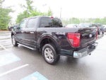2025 F-150 Thumbnail 7