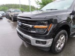 2025 F-150 Thumbnail 9