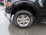 2025 F-150 Thumbnail 11