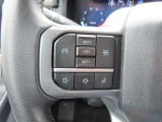 2025 F-150 Thumbnail 18