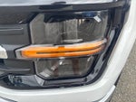2025 F-150 Thumbnail 10