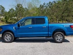 2024 F-150 Thumbnail 8