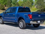 2024 F-150 Thumbnail 4