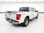 2024 F-150 Thumbnail 4