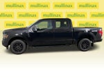 2024 F-150 Thumbnail 11