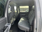 2024 F-150 Thumbnail 8