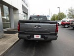 2025 F-150 Thumbnail 4