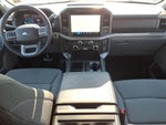 2025 F-150 Thumbnail 13